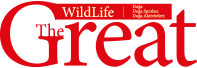 The Great WildLife - Outdoor Dergisi - Avcılık - Yaban Hayatı - Gezi
