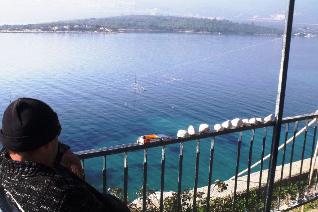 Dalyan Direkleri
