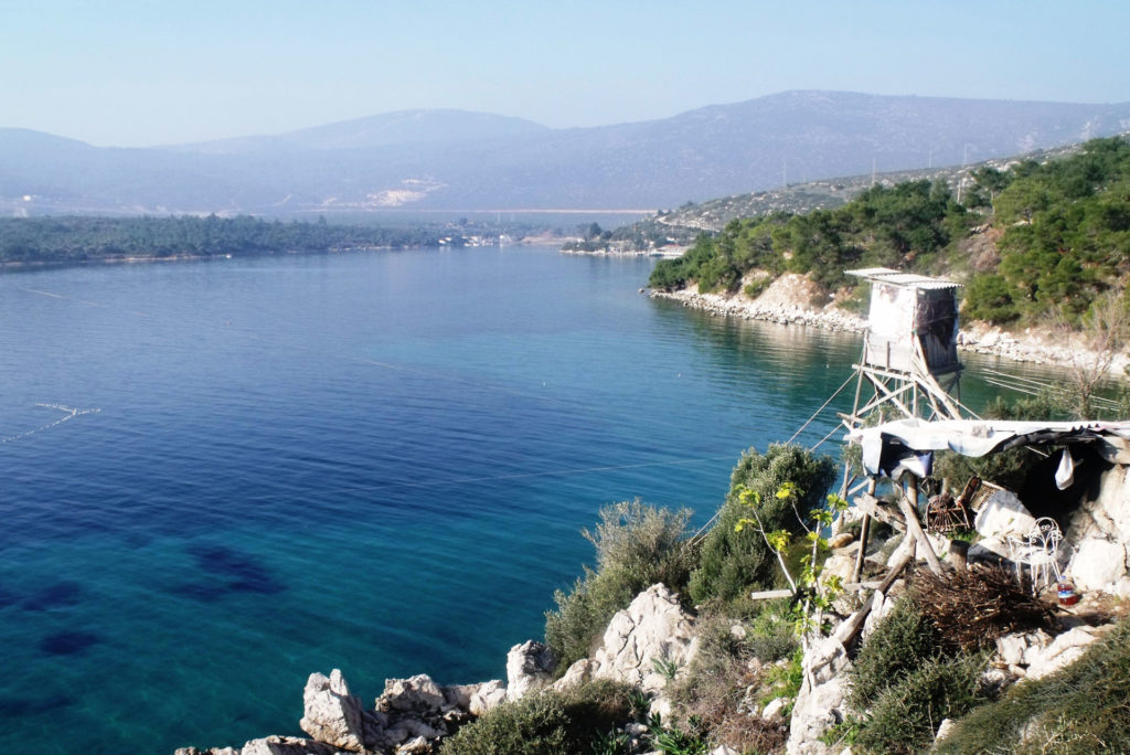 Balıkçı Ağları