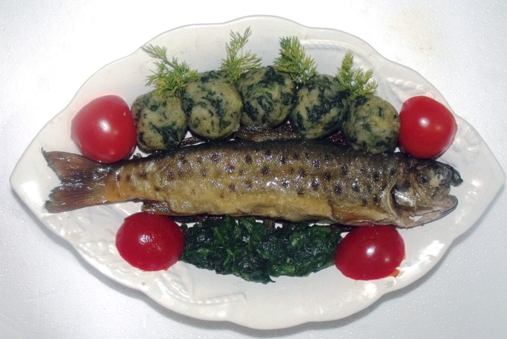 Isırgan Otu