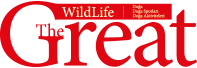 The Great Wildlife Logo